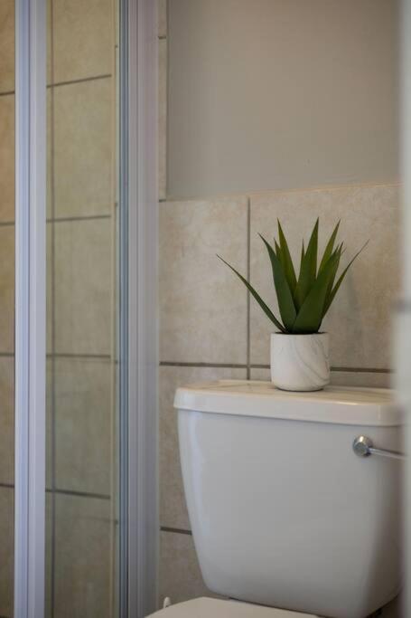 Apartamento 1 Bed Pool & Wifi *